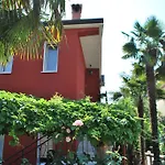 Pasiflora *